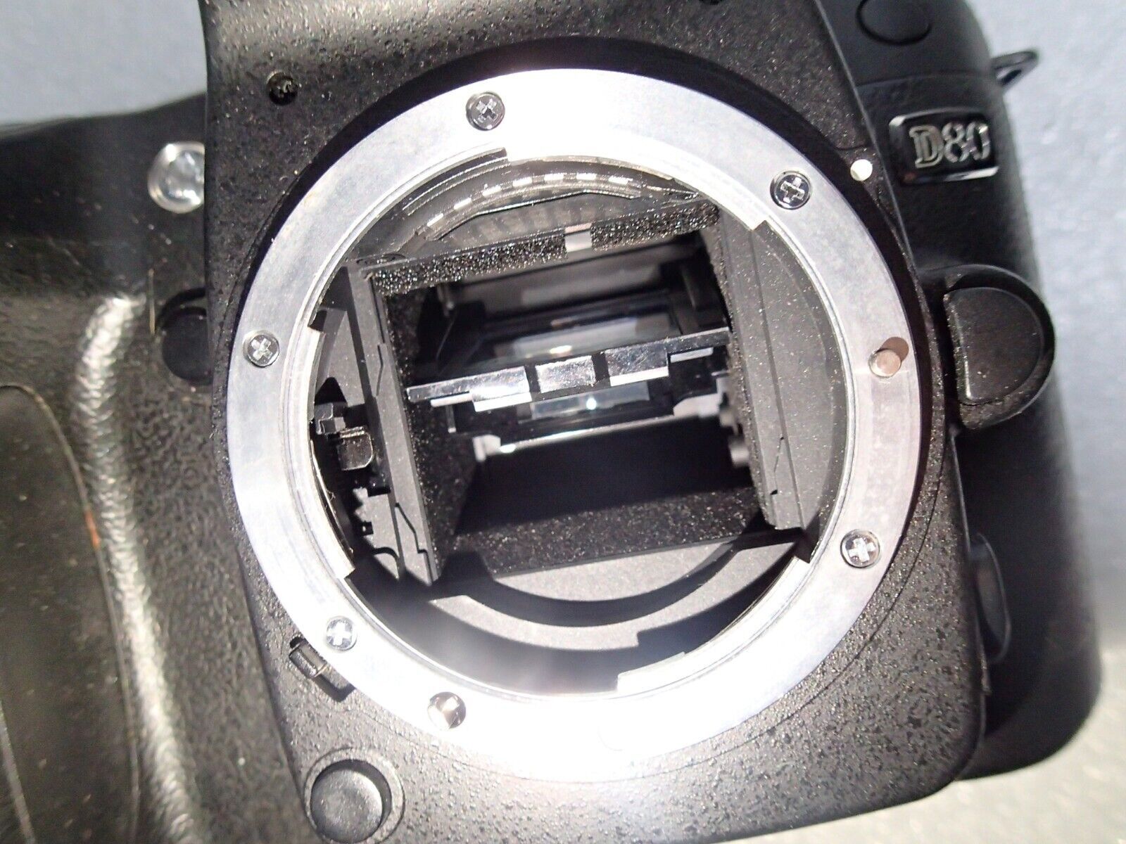 nikon d80 digital cameras
